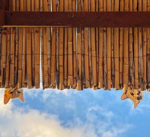 Bed and Breakfast Chiusa Del Curiale   Ospitalità In Vigna