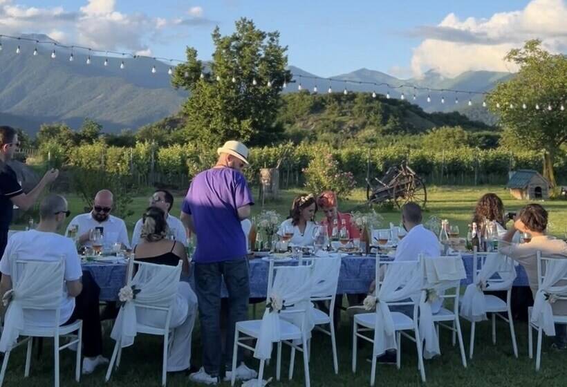 تختخواب و صبحانه Chubini Winery & Cabins