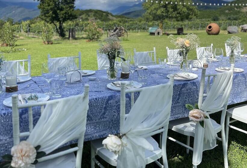 تختخواب و صبحانه Chubini Winery & Cabins