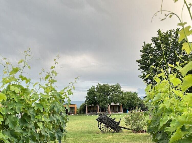 تختخواب و صبحانه Chubini Winery & Cabins