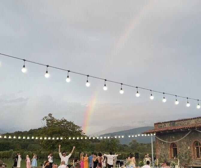 تختخواب و صبحانه Chubini Winery & Cabins