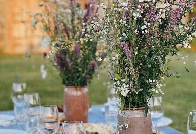 تختخواب و صبحانه Chubini Winery & Cabins