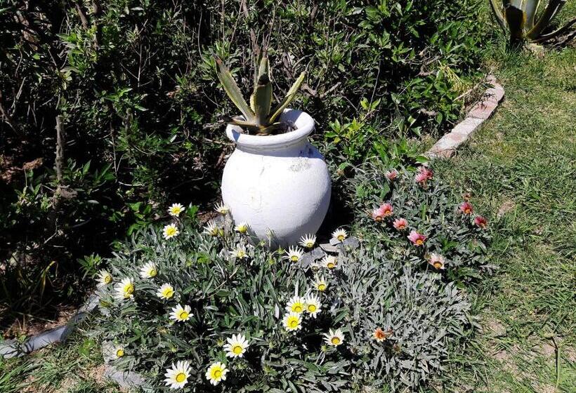 مبيت وإفطار Masia Del Viento