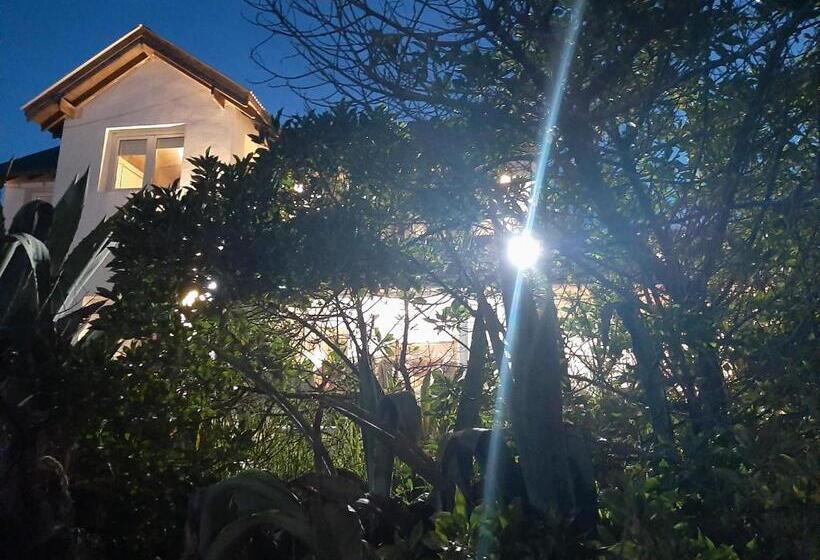 مبيت وإفطار Masia Del Viento