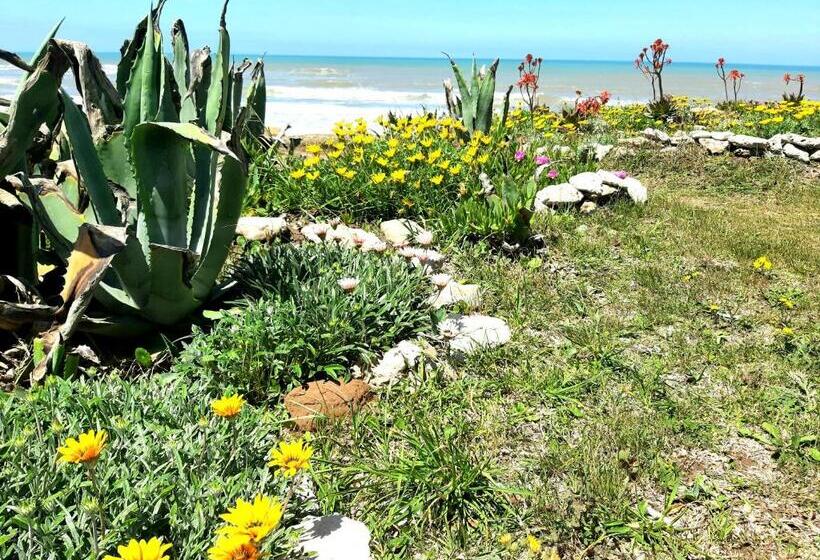 مبيت وإفطار Masia Del Viento