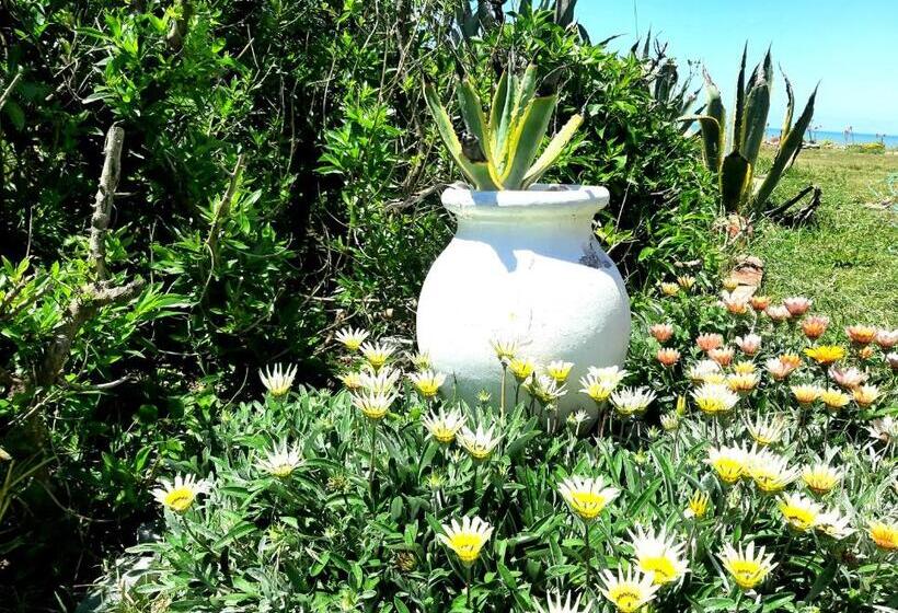 مبيت وإفطار Masia Del Viento