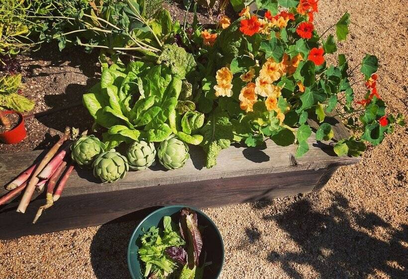 민박 Pinschower Inn