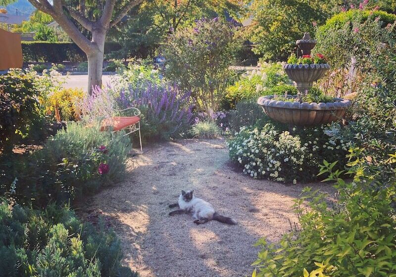 민박 Pinschower Inn