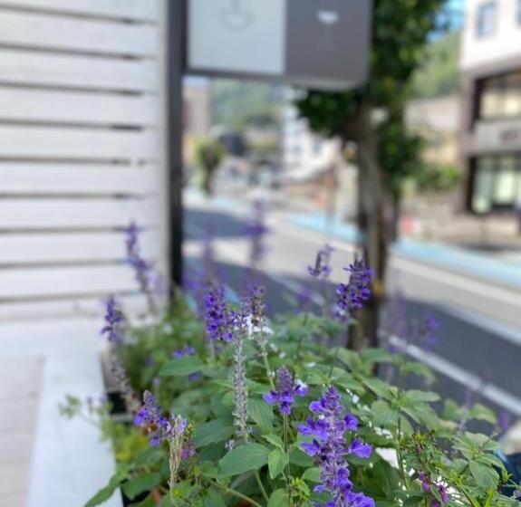 En  Hostel & Café Bar