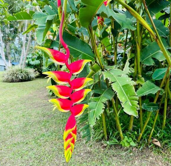 Finca Hotel El Edén Del Quindío
