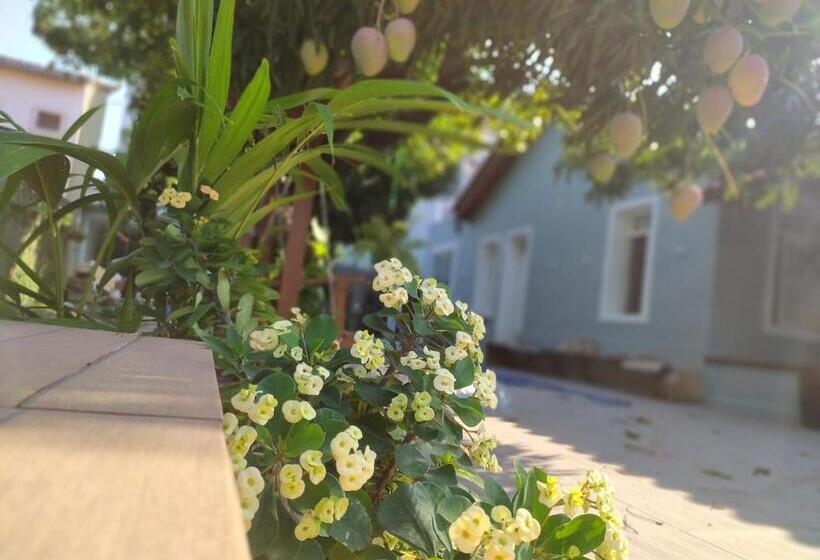 בית מלון כפרי Aveiro