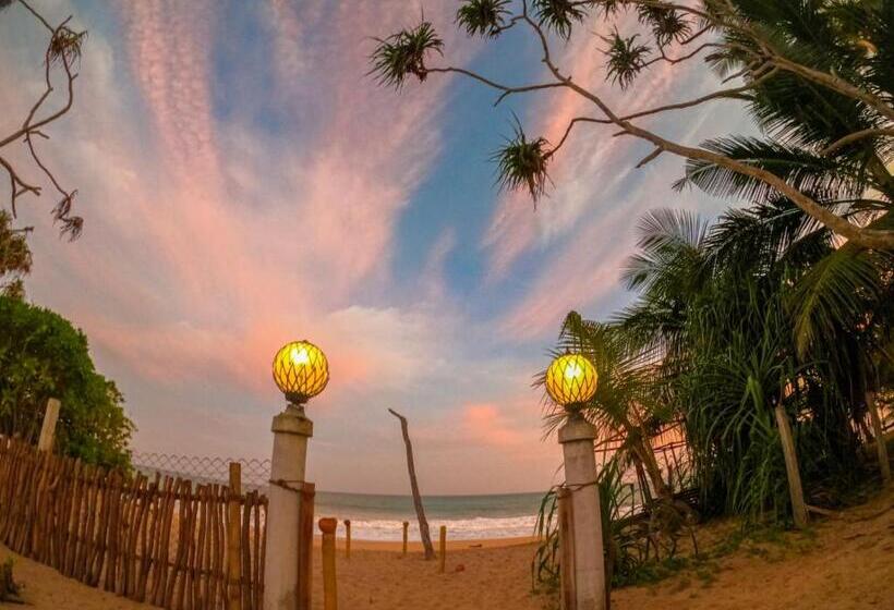 Отель Blue Ocean Resort