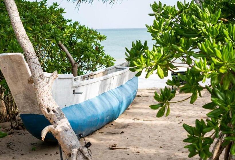 Отель Blue Ocean Resort