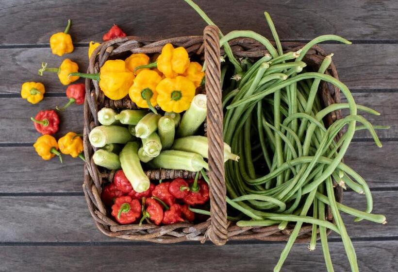 Отель Le Soleil D Or