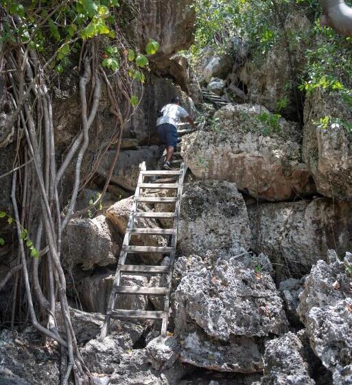 Отель Le Soleil D Or