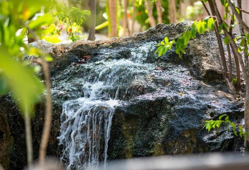 Отель Le Soleil D Or