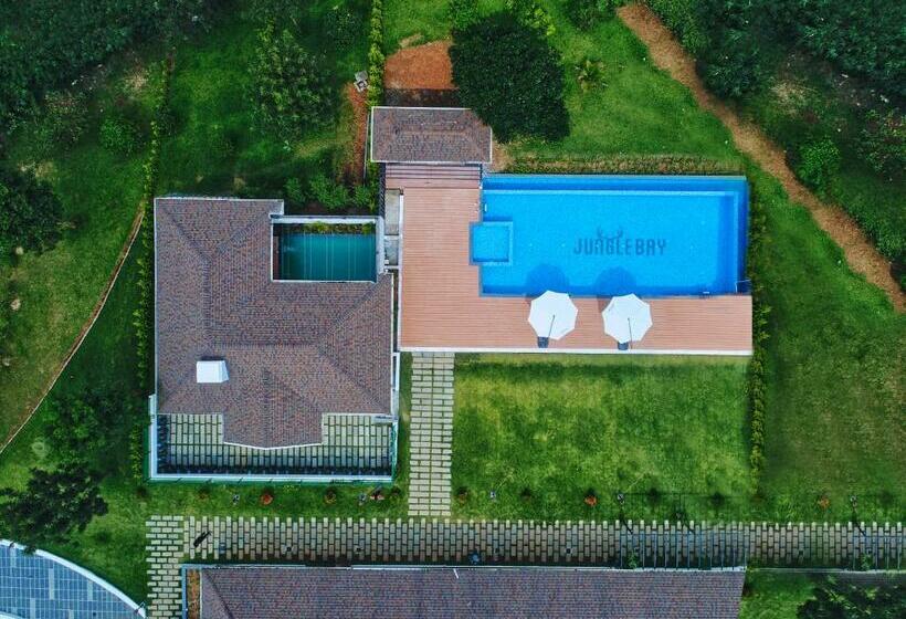 Jungle Bay Resorts & Spa