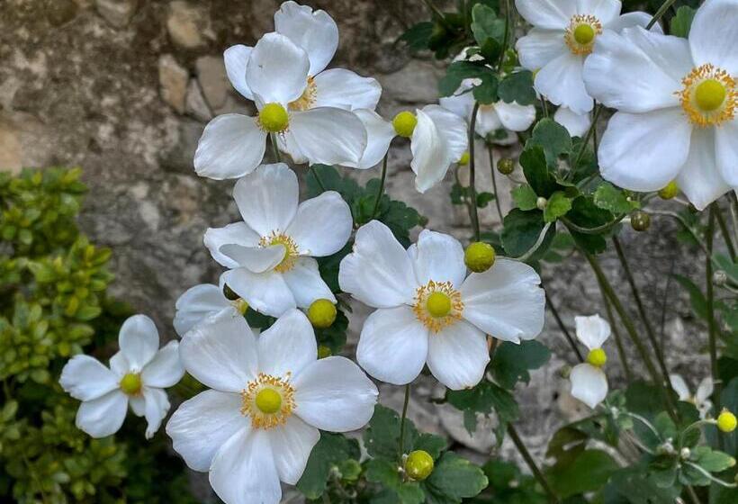 ペンション Casa Alpha