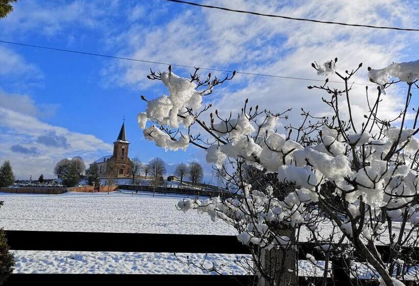 Пансион Le Cedre Bleu