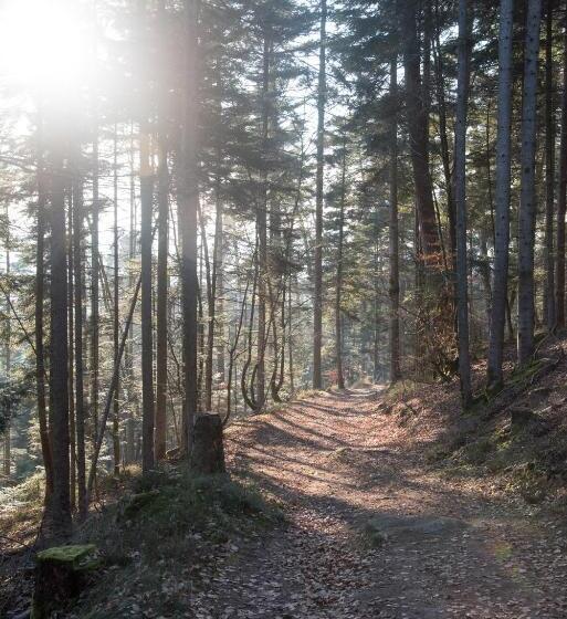 Пансион Le Cedre Bleu