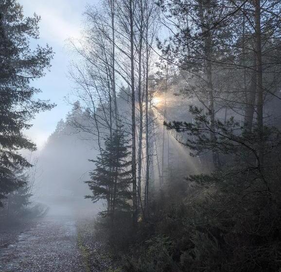 Пансион Le Cedre Bleu