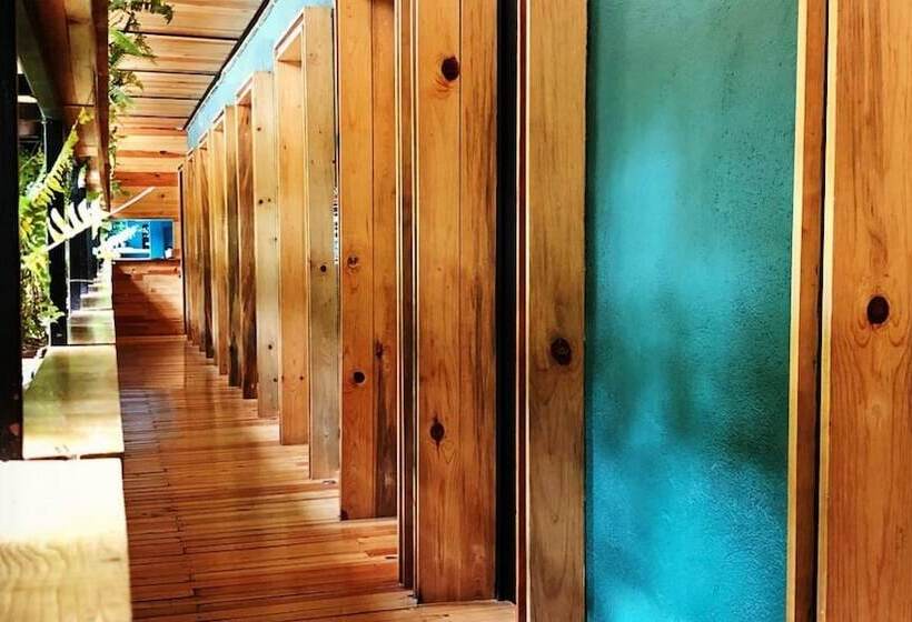 Пансион Mexico Hostel