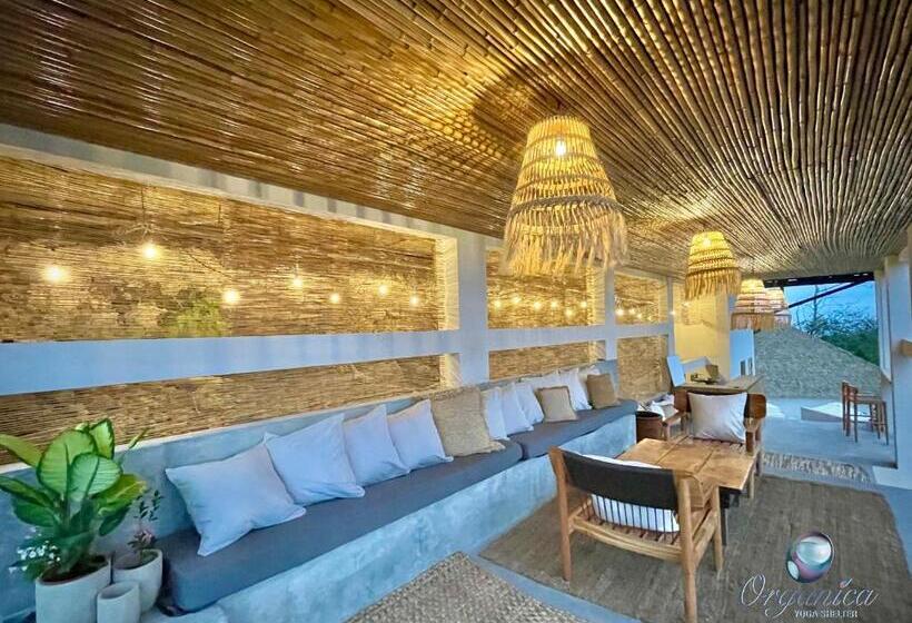 بنسيون Organica Yoga Shelter