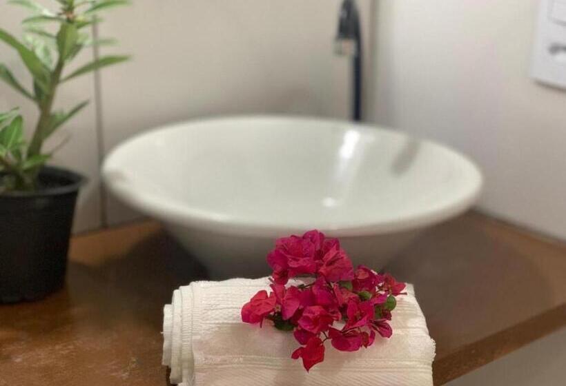 بنسيون Pousada Toca Jeri