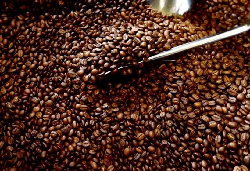 פנסיון Tlcafè Hospitality