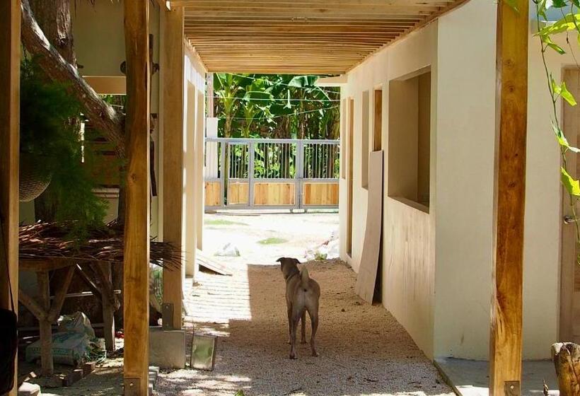 منتجع Camotes Hidden Huts