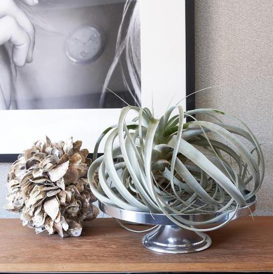 הוסטל Boutique Hotel The Old Bridge, Volendam