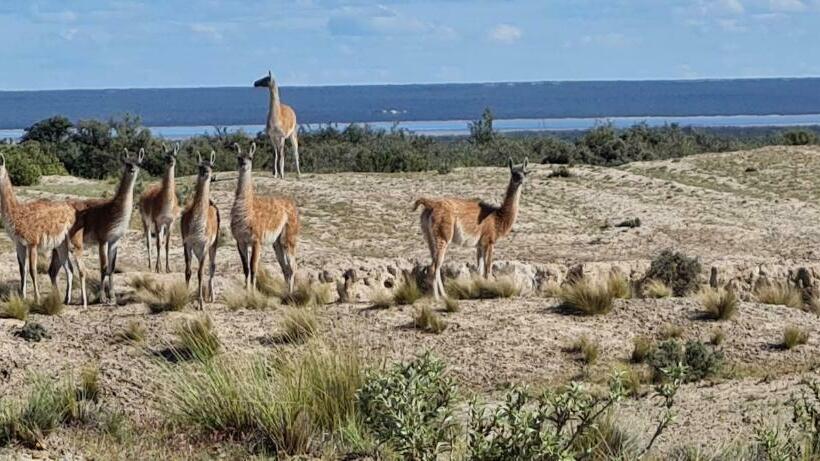 ユースホステル La Elvira Natural Lodge