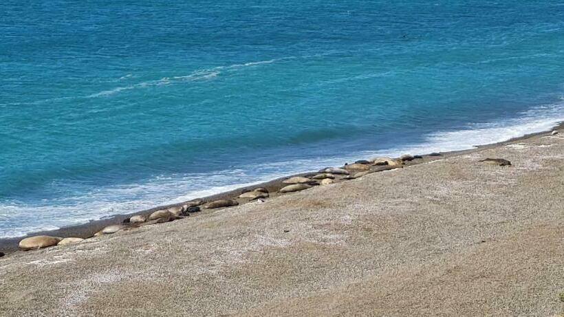 ユースホステル La Elvira Natural Lodge