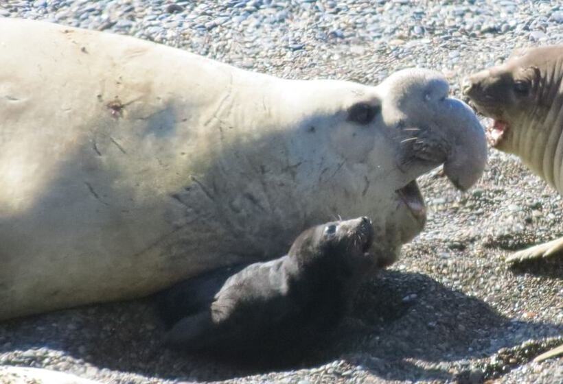 ユースホステル La Elvira Natural Lodge