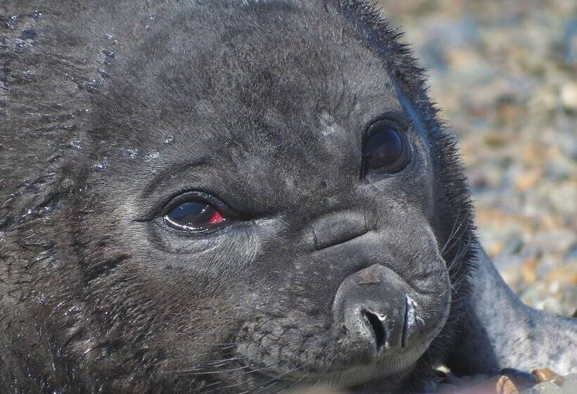 ユースホステル La Elvira Natural Lodge