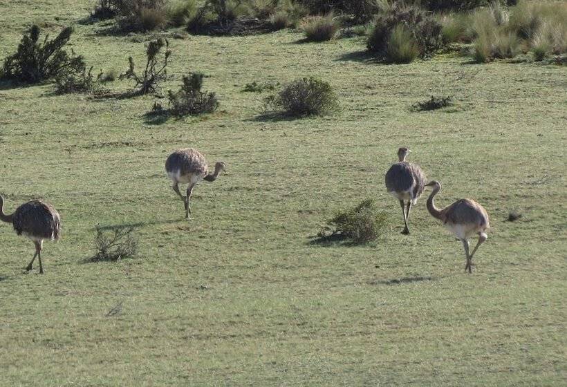 ユースホステル La Elvira Natural Lodge