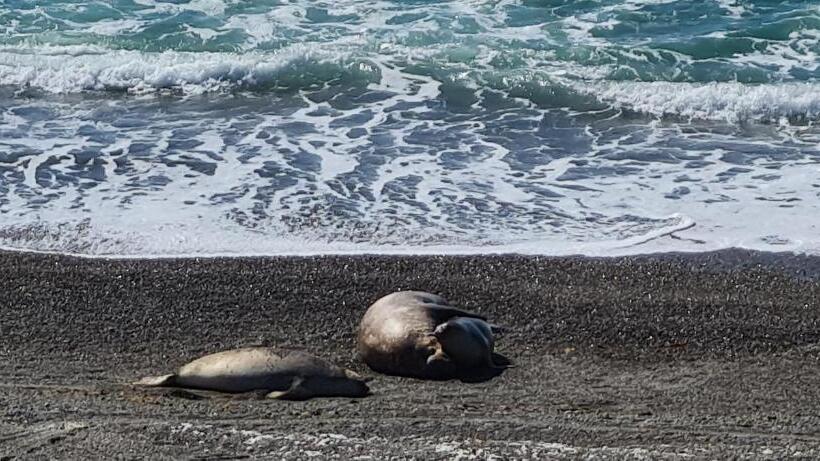 ユースホステル La Elvira Natural Lodge