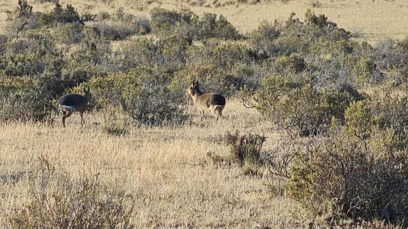 ユースホステル La Elvira Natural Lodge