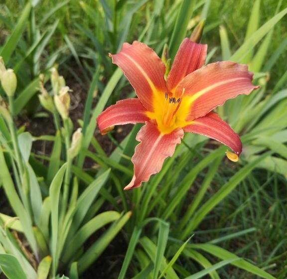 مبيت وإفطار Au Cachalot Caché Le Gîte Hôtel