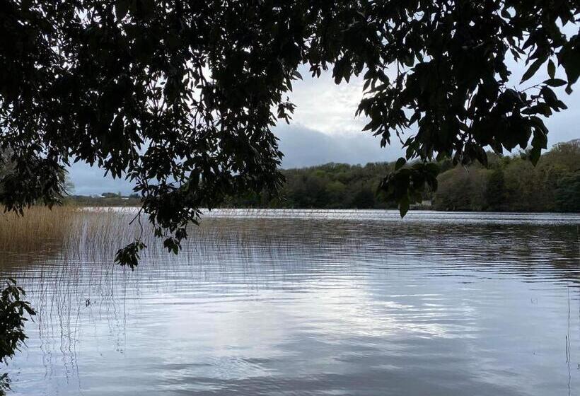 住宿加早餐  Lilac Manor