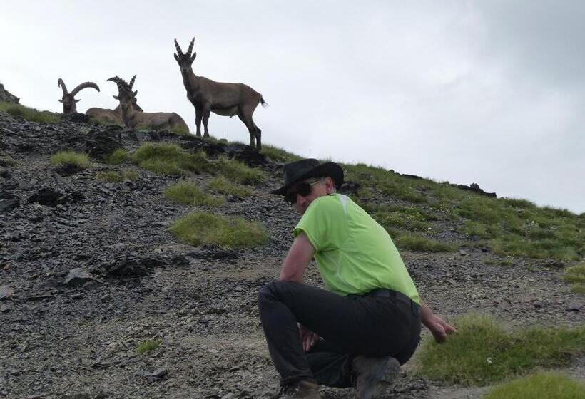 住宿加早餐  Montagne Attitude