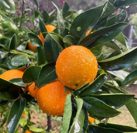 تختخواب و صبحانه Villa La Vida