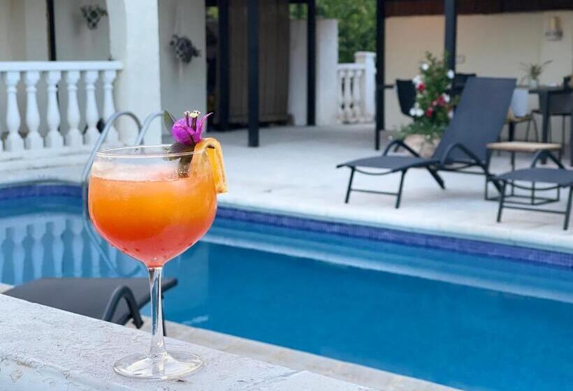 تختخواب و صبحانه Villa La Vida