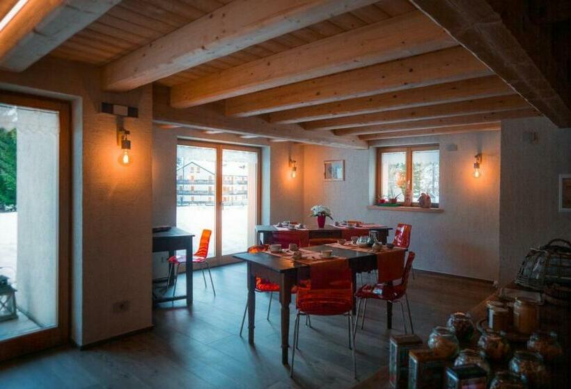 Bed & Breakfast Alchemilla