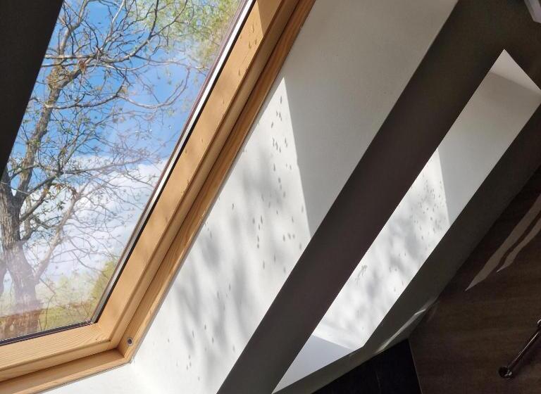 Hotel Provence Suceava