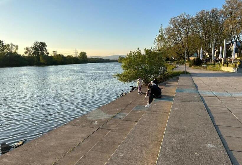 בית מלון כפרי Riverside Airport