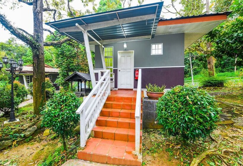 فندق Spot On 89954 D Yan Chalet