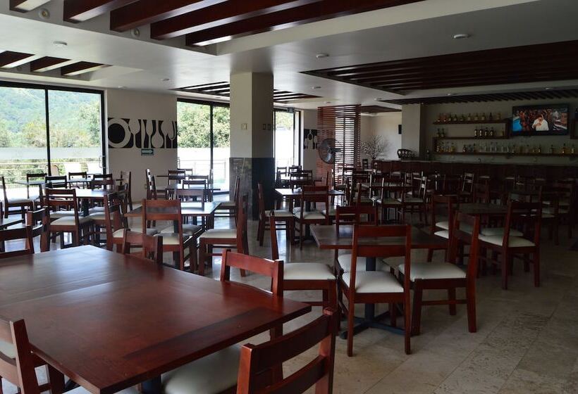 فندق Suites Don Miguel