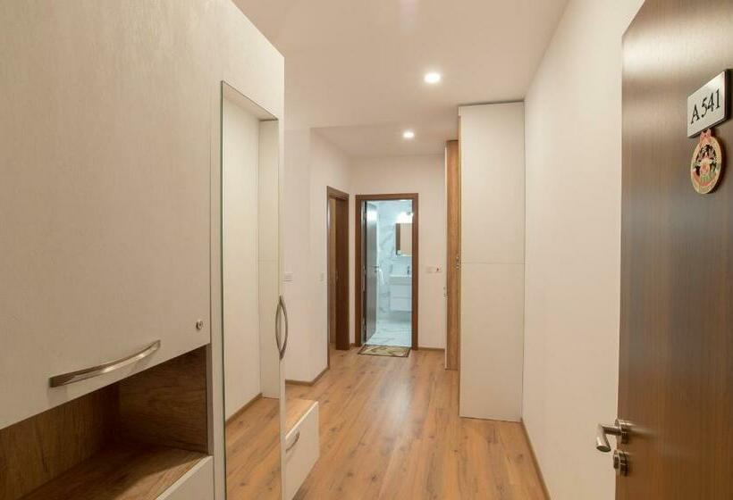 Mountain View Apartment 541