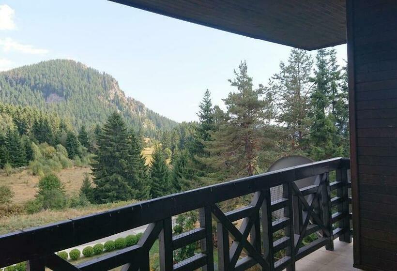 Mountain View Apartment 541